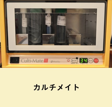 カルチメイト