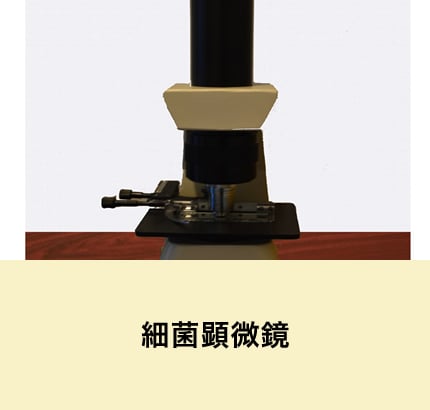 細菌顕微鏡